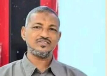 الدكتور دفع الله طه القدال