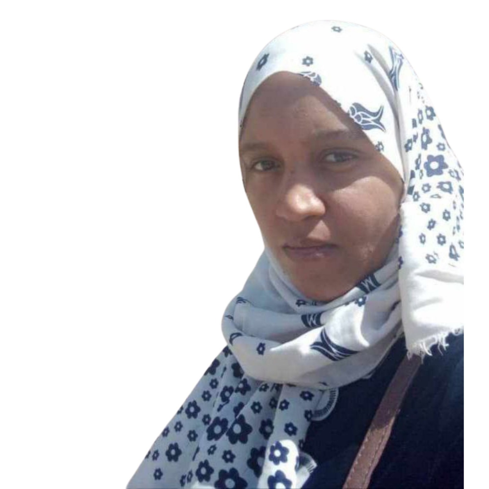 قرار بتعيين الدكتورة الحاجة لغويطر ممثلة للأكاديمة في الجزائر .